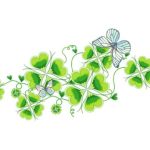 Заговор на деньги с лавровым листом в кошельке из фильма Гадалка