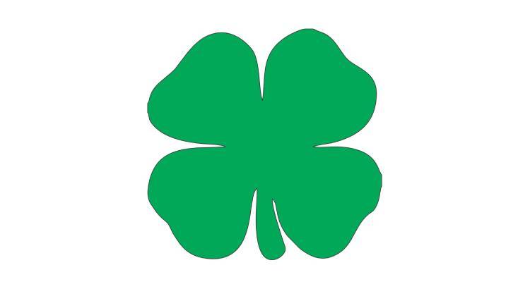 Заклинание на выигрыш в лотерею