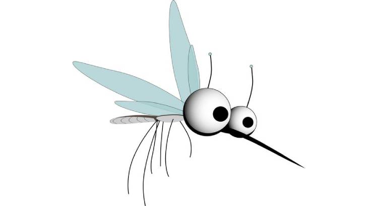 Заговор от комаров и мошек