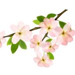 Молитва чтобы бросить курить