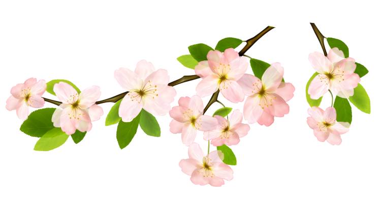 Молитва чтобы бросить курить