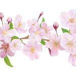 Молитва на желание за один день Николаю Угоднику