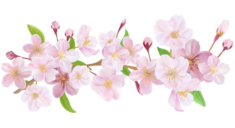 Молитва на желание за один день Николаю Угоднику