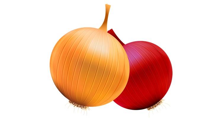 Заговор на свекровь на лук