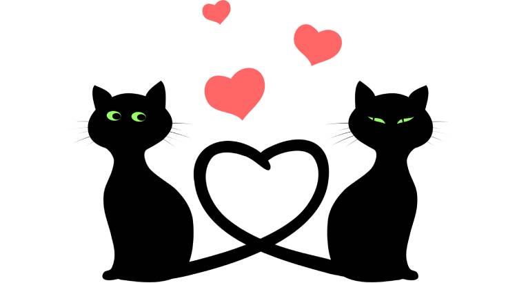 Обряд на две скрученные свечи на возврат любимого