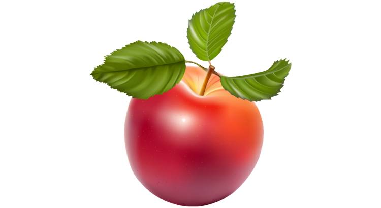 Заговор Степановой на похудение перед сном